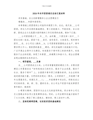 2024年向市团委递交总结汇报材料