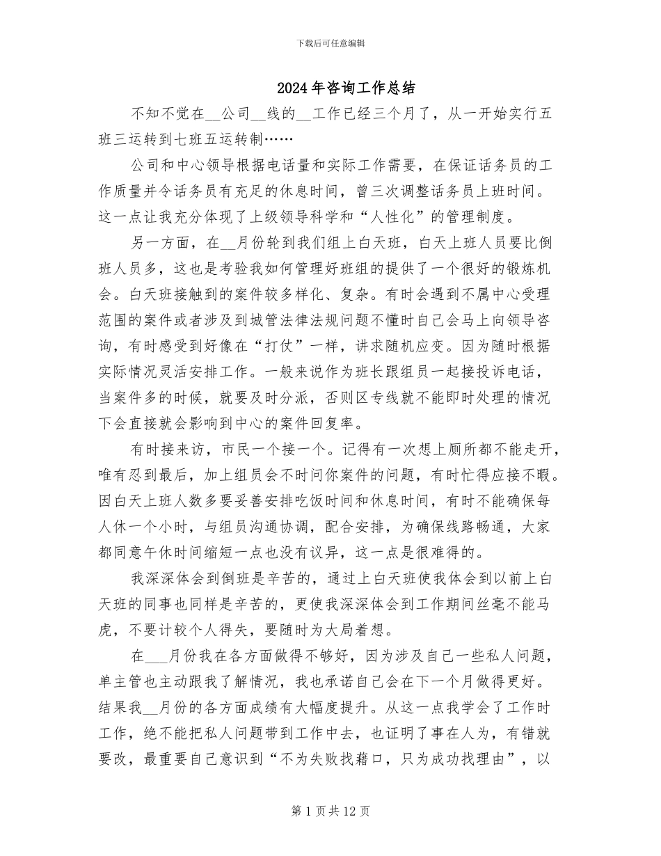 2024年咨询工作总结_第1页