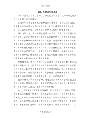 2024年咨询工作总结