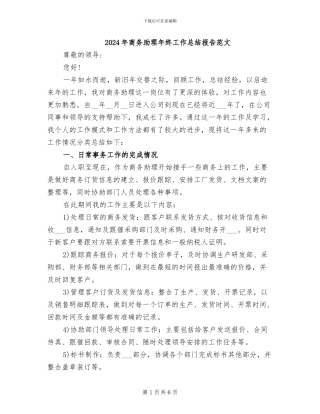 2024年商务助理年终工作总结报告范文