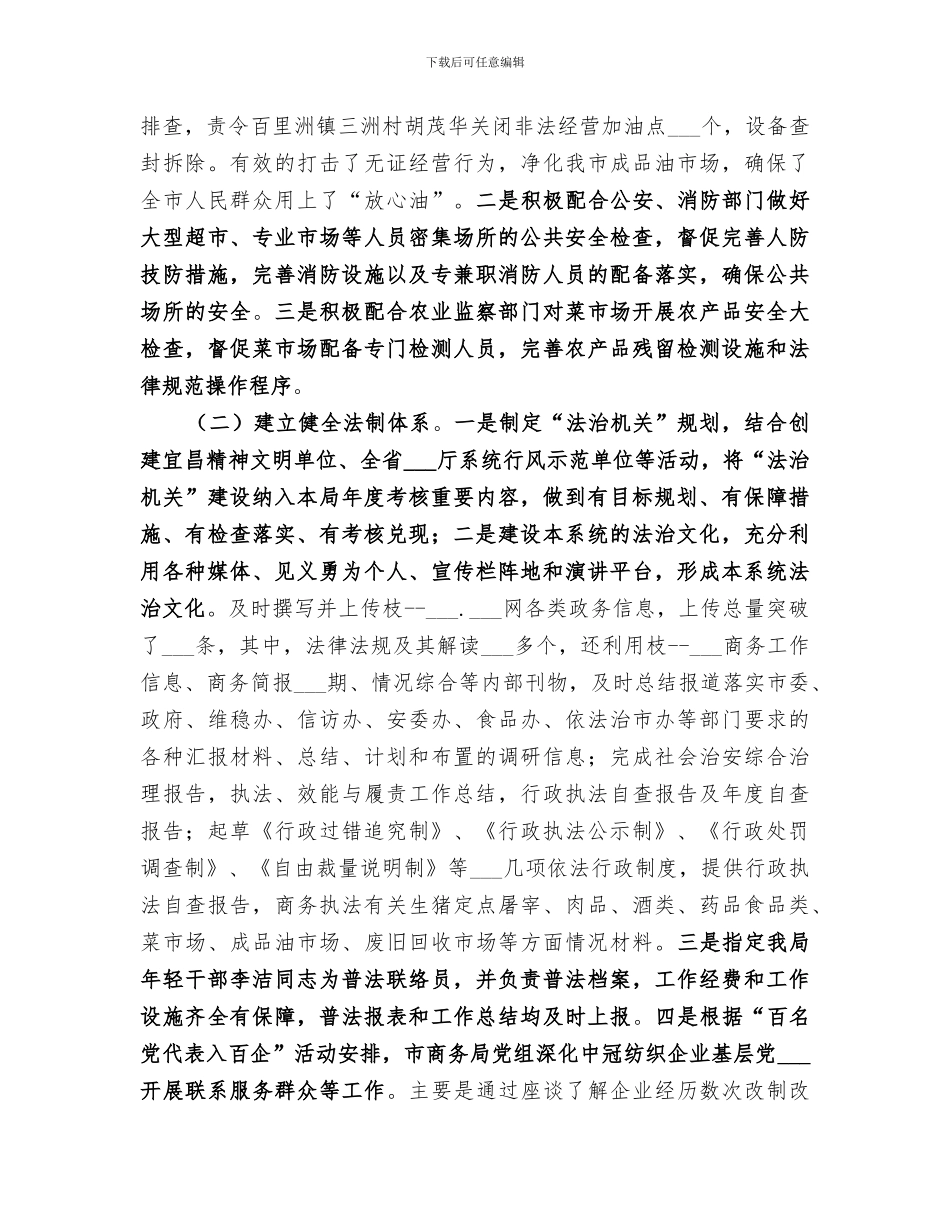 2024年商务局执法与效能监察工作总结_第3页