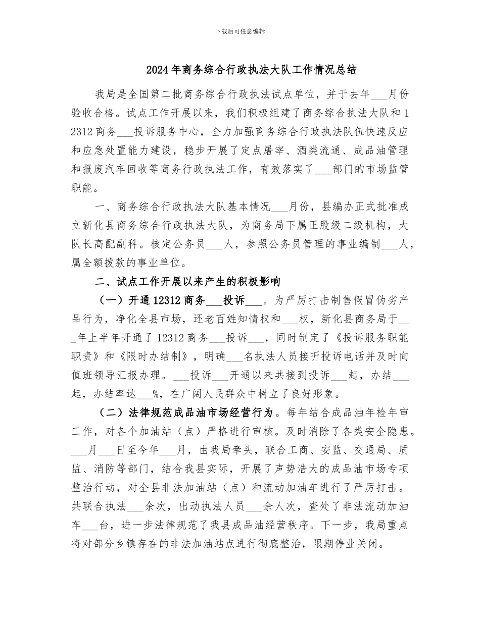 2024年商务综合行政执法大队工作情况总结_第1页