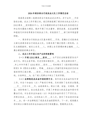 2024年商务综合行政执法大队工作情况总结