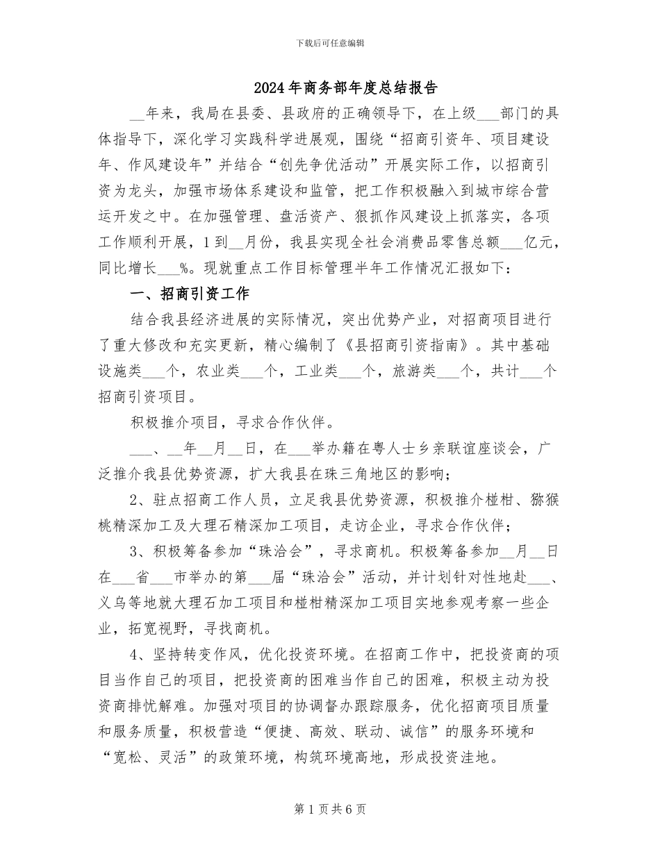 2024年商务部年度总结报告_第1页