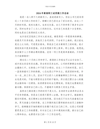 2024年商场职工试用期工作总结