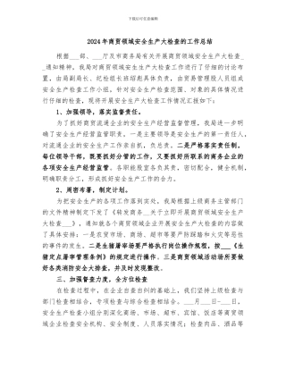 2024年商贸领域安全生产大检查的工作总结