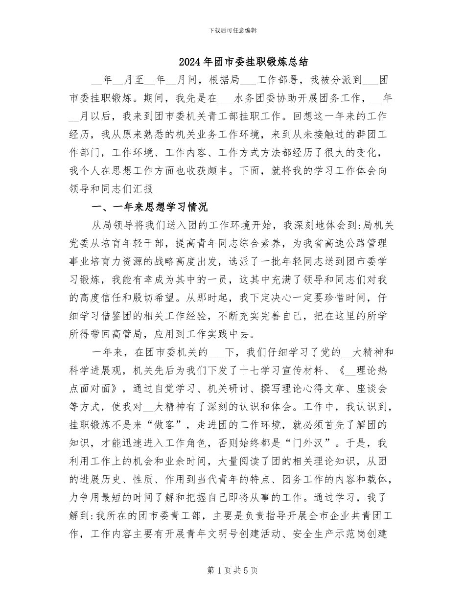 2024年团市委挂职锻炼总结_第1页