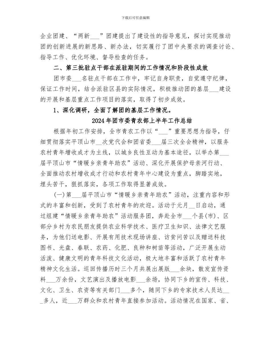 2024年团市委选派第三批机关干部驻点指导工作中期总结_第3页