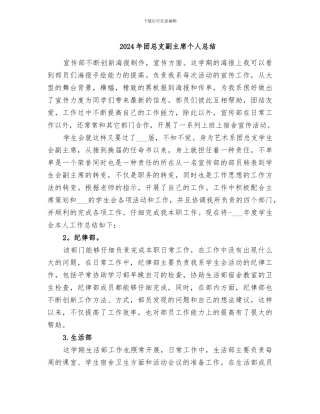 2024年团总支副主席个人总结