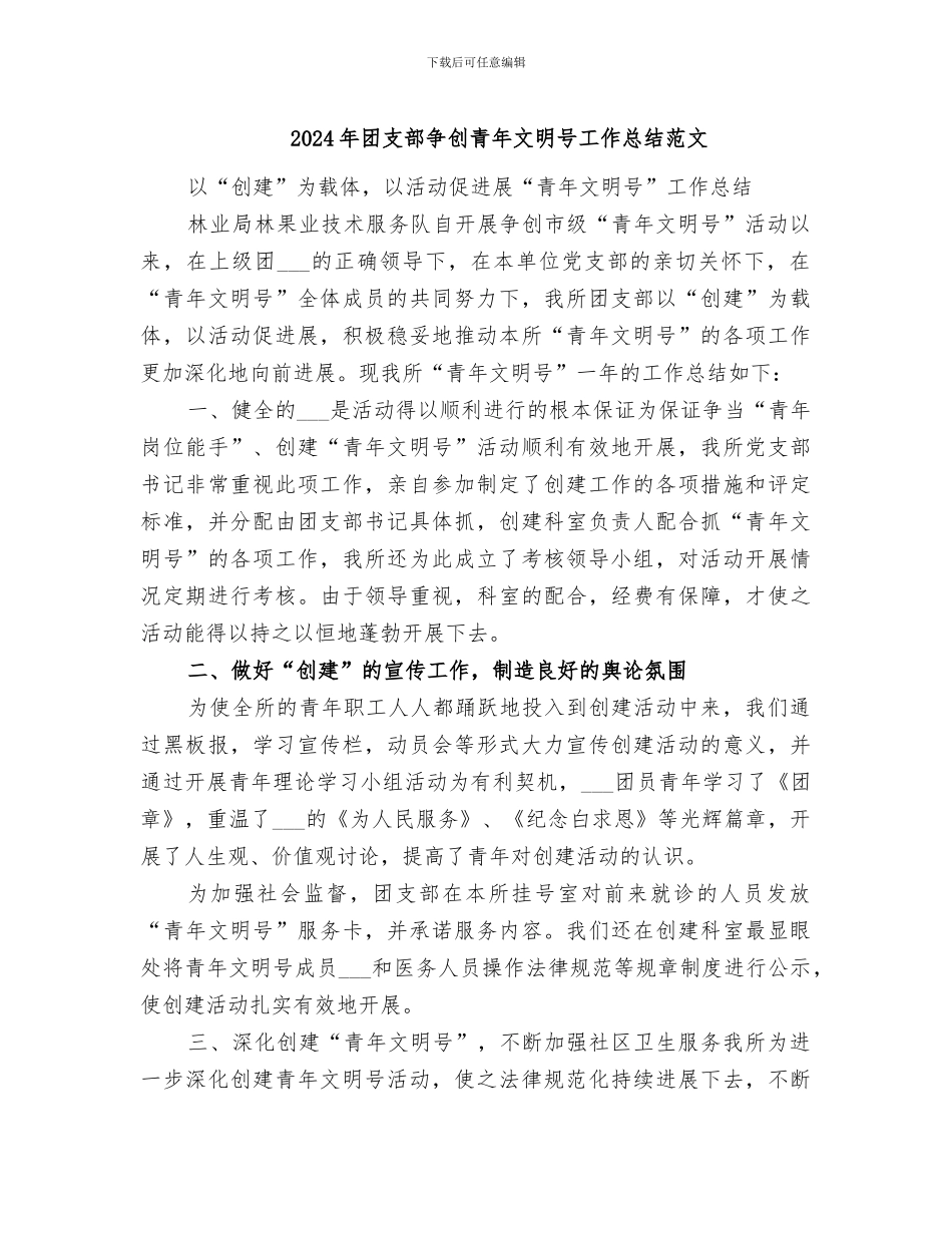 2024年团支部争创青年文明号工作总结范文_第1页