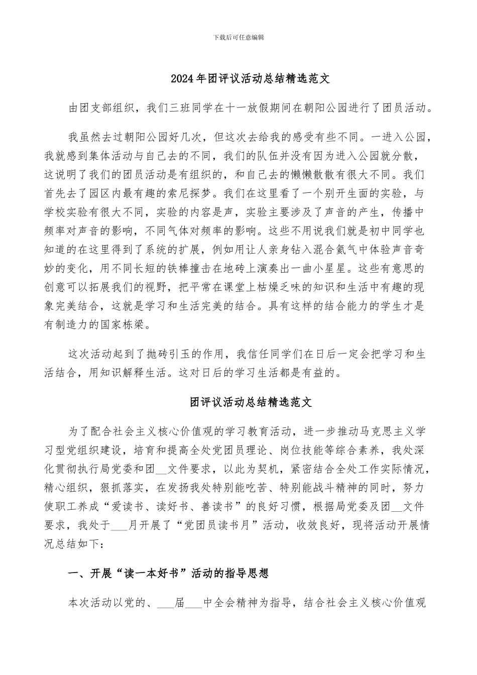 2024年团评议活动总结精选范文_第1页