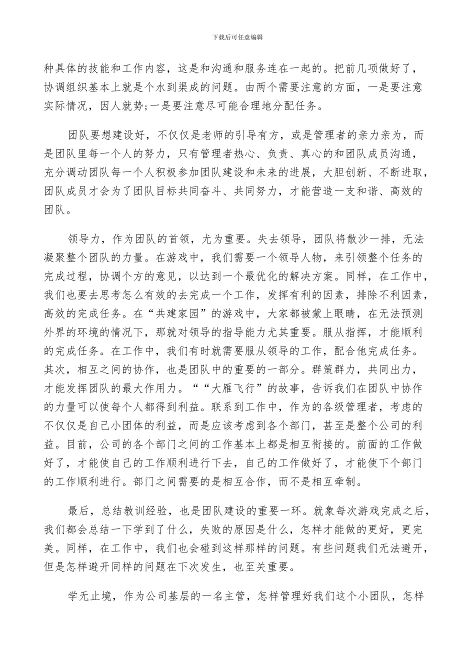 2024年团队建设评议材料总结_第2页