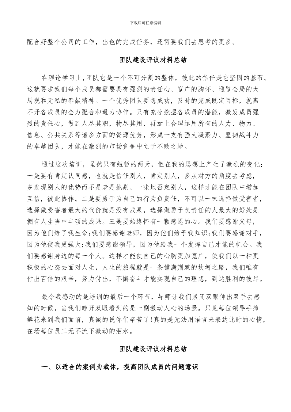 2024年团队建设评议材料总结_第3页