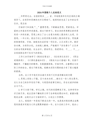 2024年国税个人总结范文