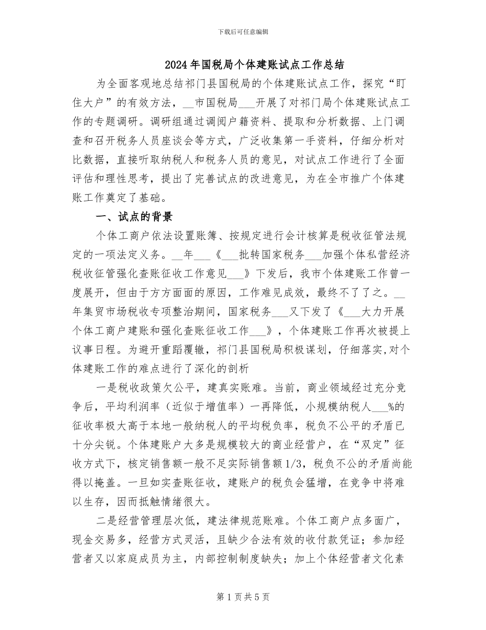 2024年国税局个体建账试点工作总结_第1页