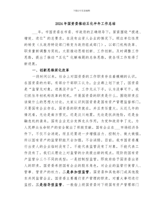 2024年国资委推进五化半年工作总结
