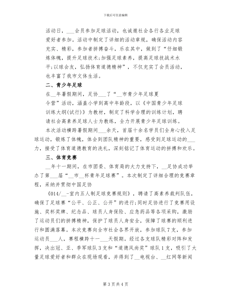 2024年地方社会团体足球协会年度工作总结_第3页