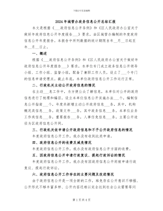 2024年城管办政务信息公开总结汇报