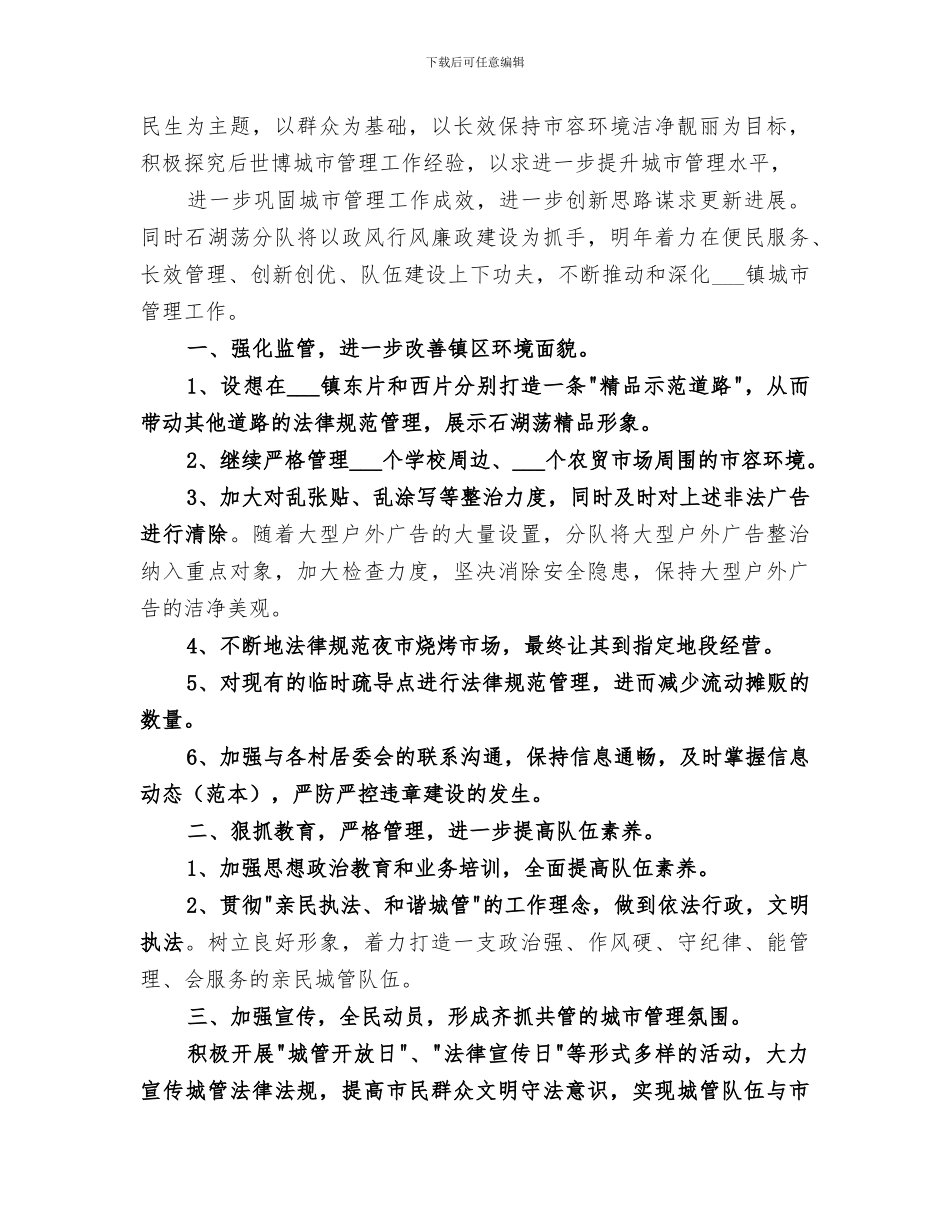 2024年城管局年终总结范文_第3页