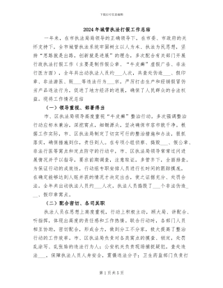 2024年城管执法打假工作总结