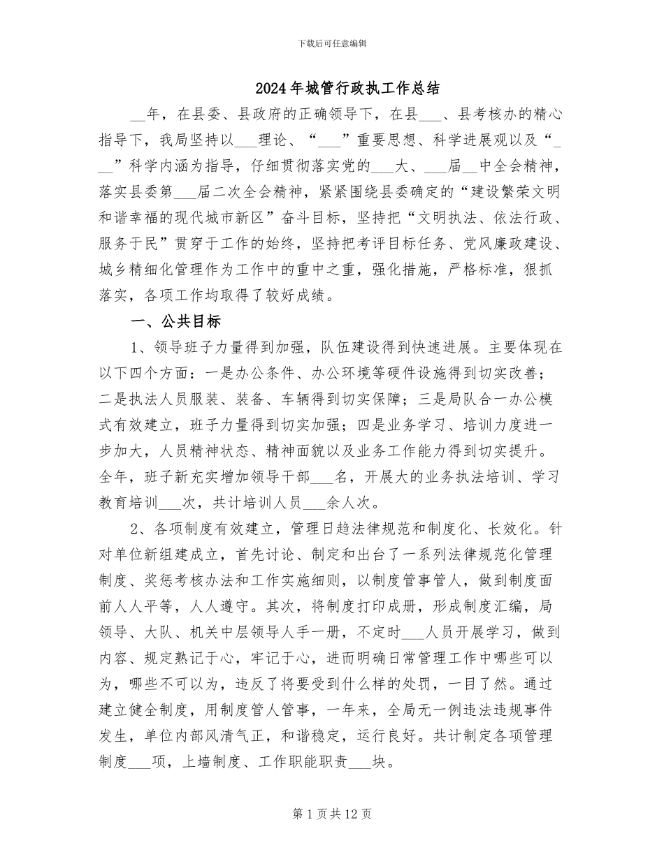 2024年城管行政执工作总结_第1页