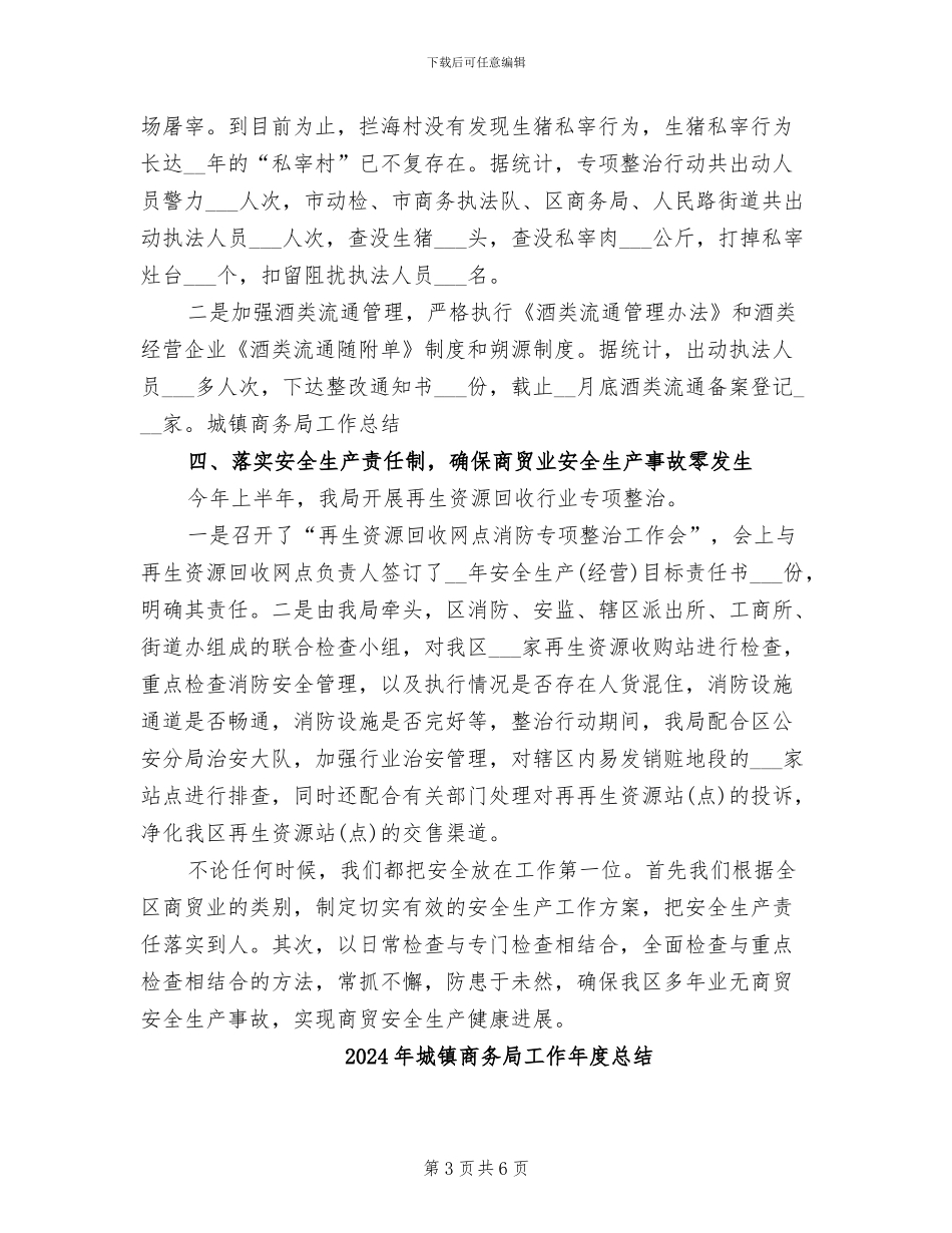 2024年城镇商务局个人年度工作总结_第3页