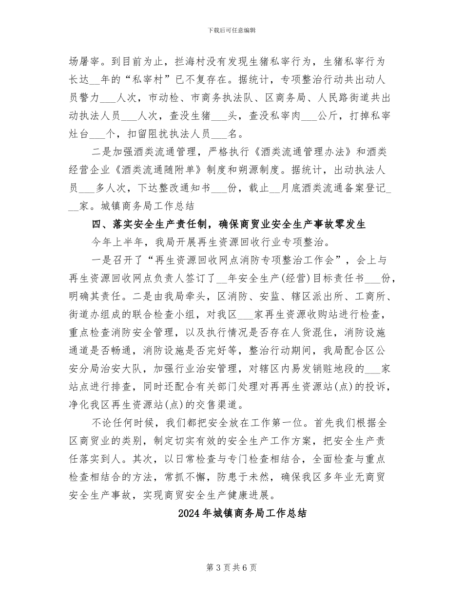 2024年城镇商务局工作年度总结_第3页