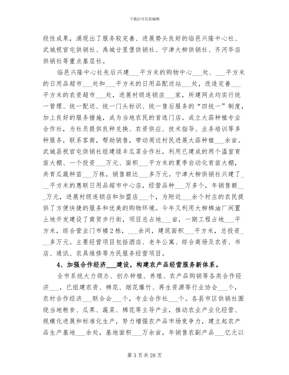2024年基层供销社的年终总结_第3页