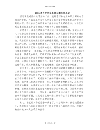 2024年大专毕业生实习期工作总结