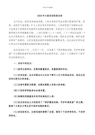 2024年大型活动经验总结