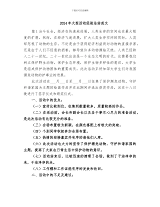 2024年大型活动经验总结范文