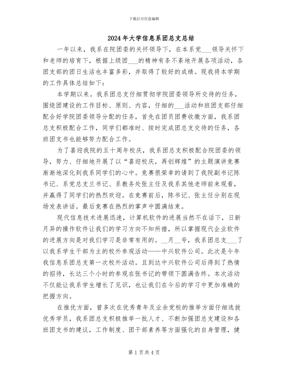 2024年大学信息系团总支总结_第1页