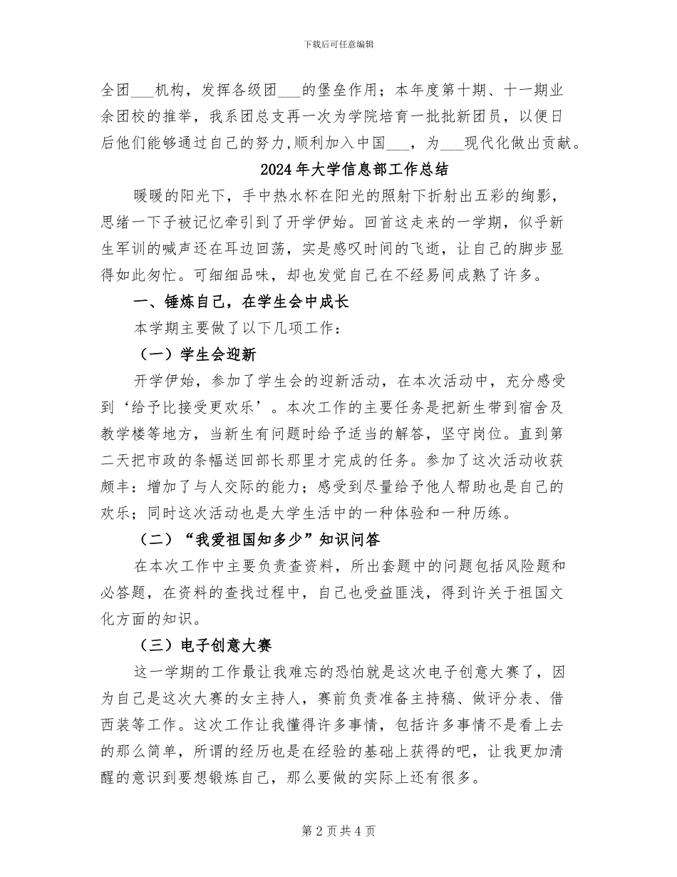 2024年大学信息系团总支总结_第2页