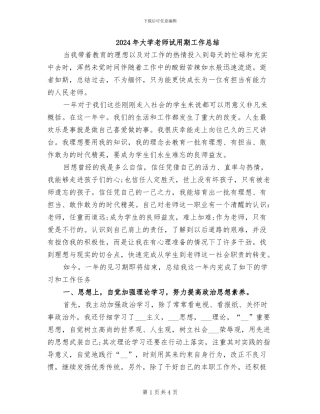 2024年大学教师试用期工作总结