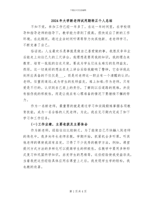 2024年大学新教师试用期转正个人总结