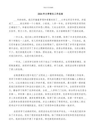 2024年大学校长工作总结