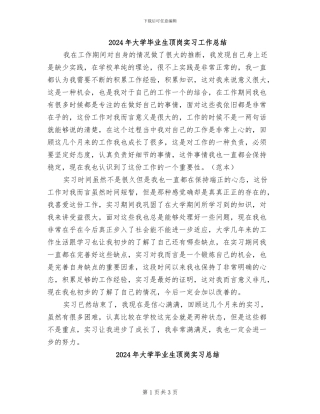 2024年大学毕业生顶岗实习工作总结