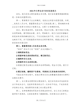 2024年大学生会计实训总结范文