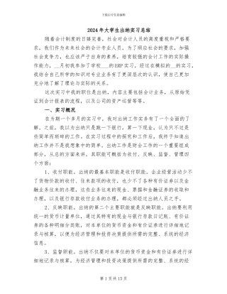 2024年大学生出纳实习总结