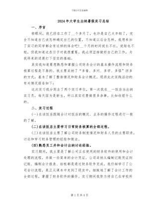 2024年大学生出纳暑假实习总结