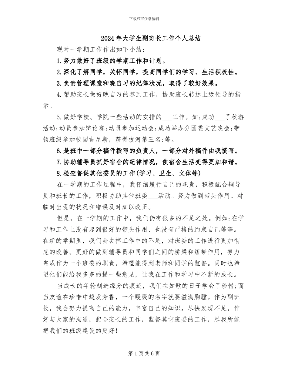 2024年大学生副班长工作个人总结_第1页