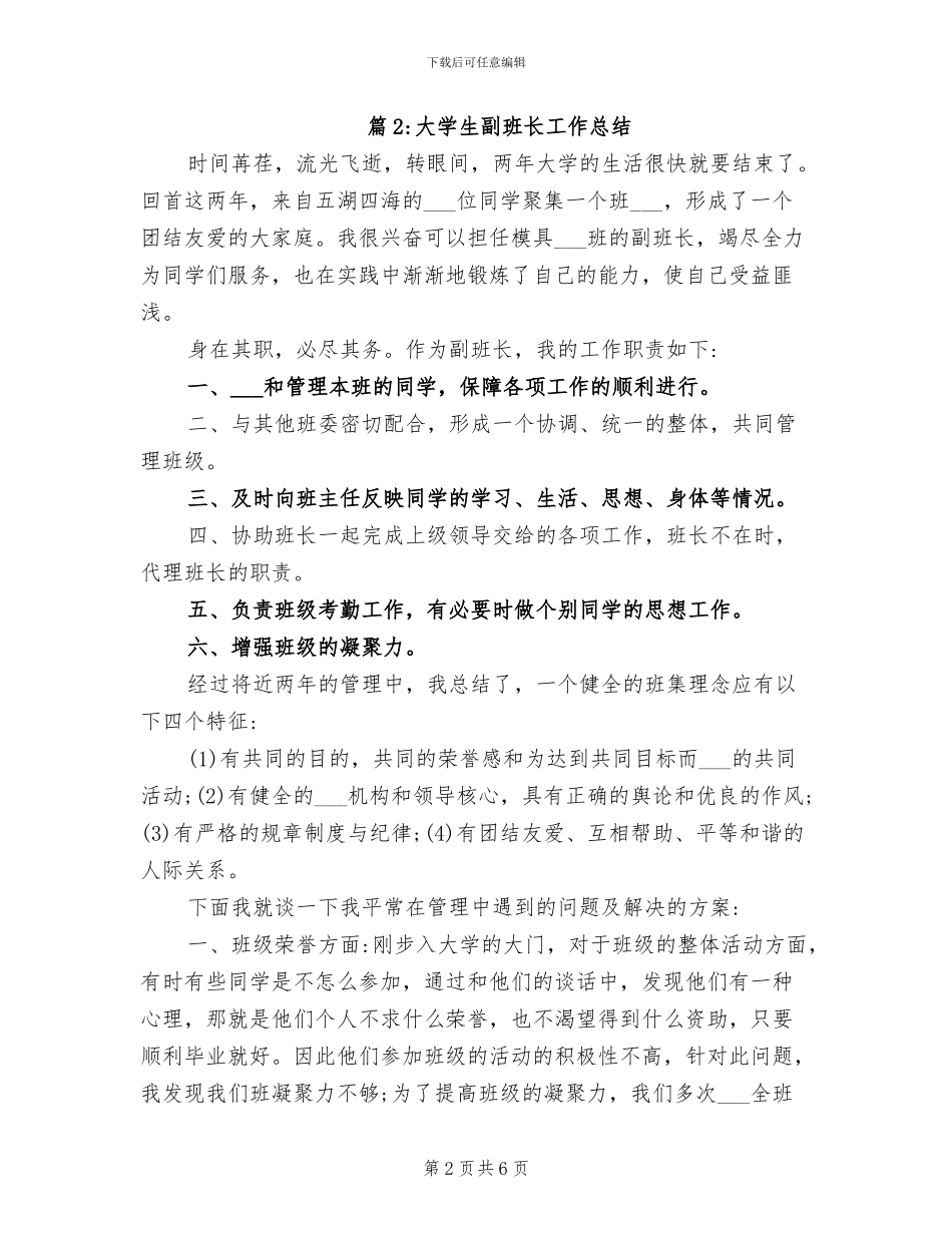 2024年大学生副班长工作个人总结_第2页
