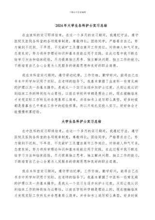 2024年大学生各科护士实习总结