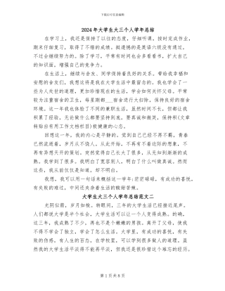 2024年大学生大三个人学年总结