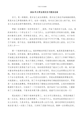 2024年大学生岗位见习报告总结