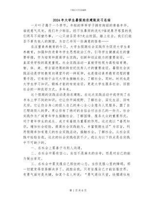 2024年大学生暑假助农建账实习总结