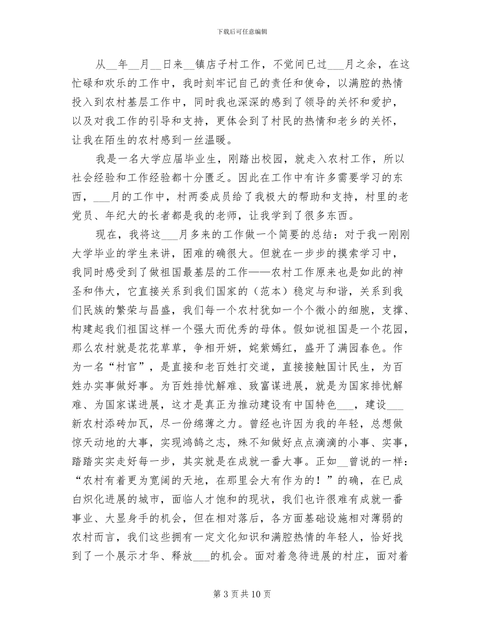 2024年大学生村官分工工作总结_第3页