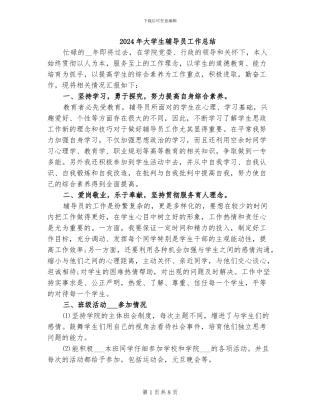 2024年大学生辅导员工作总结