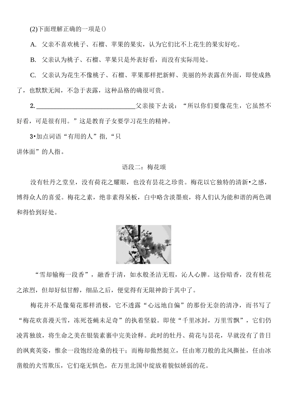 2 落花生  同步练习(含答案)_第3页