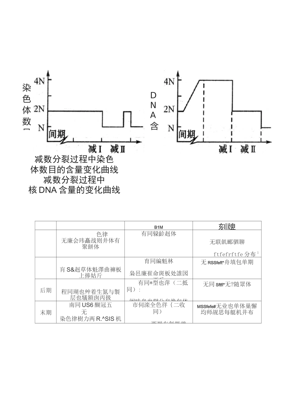 (完整版)有丝分裂和减数分裂的过程和图像_第3页